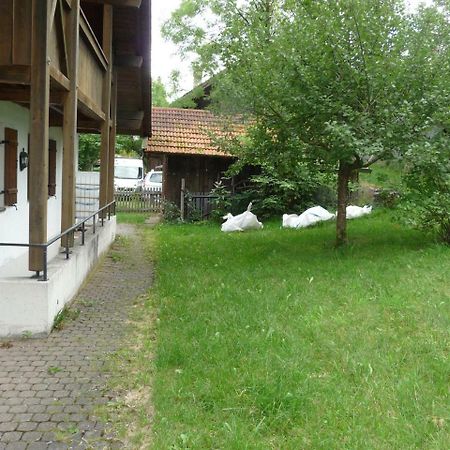 הוילה Wangen  Ferienhaus Beim Holzeder מראה חיצוני תמונה
